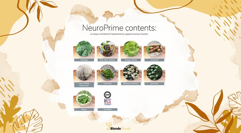 Ingredients of NeuroPrime